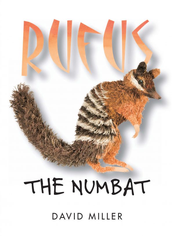 Rufus the Numbat